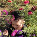 여시코빼기 이미지