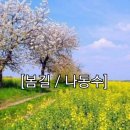 봄길 이미지