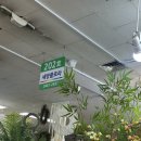 세방플로라