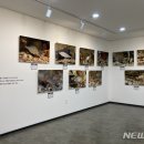 토속