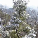 금류비디오 | 서울 수락산 눈꽃산행기...서울시,경기도 남양주시,의정부시(638m)