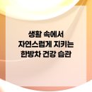 건강을 지키는 차생활 이미지