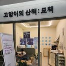 고양이의 산책:묘책 이미지