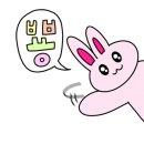 베베커피로스터즈 이미지