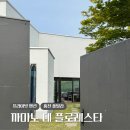 더스마일독채풀빌라5 | 홍천 독채 풀빌라 펜션: 까미노 데 플로레스타 후기