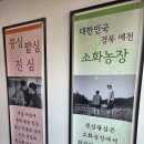 김포 | 김포 석모리 맛집 콩심팥심 후기｜보리밥·칼국수 가성비 김포한정식 추천