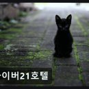 싸이버21 네이버블로그