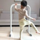 테스 (Tess) | 1인용 발레바 테스 미니 발레바 집에서 홈발레하기 딱