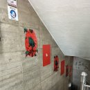 #301 두껍아 두껍아 헌집줄게 새집다오 토끼굴 방탈출 홍대 미스터리 두두헌새