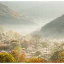 비밀의 정원 이미지