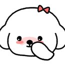 구공스테이 옥천 키즈 이미지