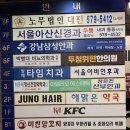 아델리오 에스테틱