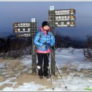 마실나들이 이미지