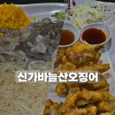 [인천/동암 맛집] 신가바늘산오징어 산오징어와 튀김 세트 동암역 횟집 내돈내산 솔직후기
