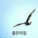 낭만에대하여 이미지