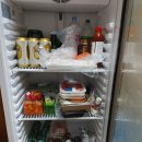 인어좌대 | 안면도 오뚜기좌대 갑오징어 외수질낚시 후기.