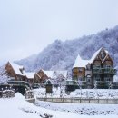 자연향기 이미지