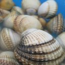 시골나그네민박 이미지