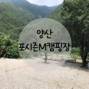 원동포시즌A | 부산근교 양산 아이랑 가볼만한곳 캠핑장 계곡 양산 포시즌M캠핑 수영장