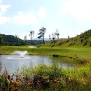 알펜시아 700 골프클럽 이미지