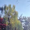 세영부동산중개사무소 이미지