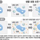 선호냉동 이미지