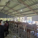 색달동-19 이미지