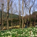 꿈꾸는웰빙 이미지