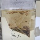 제2 태양농장 이미지