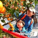 뚱땡이네과일