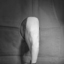 검단이담동물의료센터 이미지