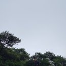 사천1리 마을회관 이미지