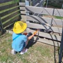 금당초등학교 이미지