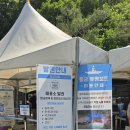 대상(주) 단양공장 | 충주 활옥동굴 후기 | 입장료·카약체험·운영시간 총정리