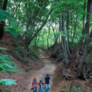 고개너머 이미지