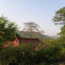 고향 Daum카페