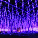 현플라워 이미지