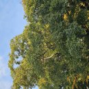 상주은모래비치 입구 이미지