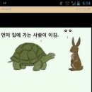 토끼와거북이 이미지