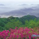 합기도정도관 총본관 이미지