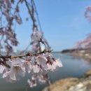 허균생가터
주차장 | 강릉 경포호 벚꽃 여행 후기, 허균·허난설헌생가터까지, 벚꽃 구경 하세요~~!