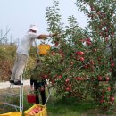 혁이농장 이미지