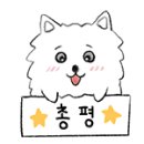 카페별토끼