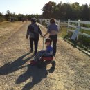 새안농장 이미지