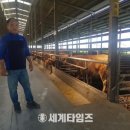 워낭농장 이미지