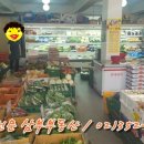 싱싱야채청과 이미지