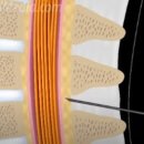 하나신통의원 이미지