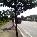 예술공원 둘레길 이미지