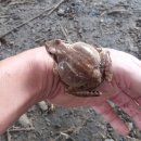 월학농장 이미지