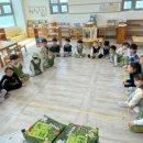 멘사창의유치원 이미지